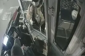 外地乘客为寻失物错过末班车 青岛公交司机开私家车送她回家图片