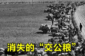 延续了2600年的税制，50年缴纳7000亿公斤，为何现在却取消了？图片