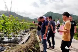 “红古田”网络扶贫公益行走进长汀图片