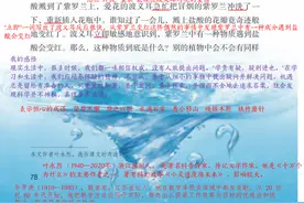 第十五课真理诞生于一百个问号之后图片