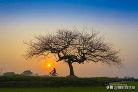 7个摄影技巧，帮你拍美风景照片，还告诉你哪些错误不能犯图片