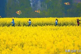 「散文」 乡间的风图片