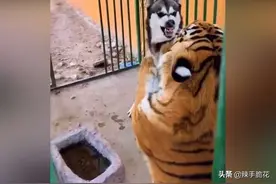 “拿出你们十年脑血栓的问题”网友：我爸妈结婚没叫我图片