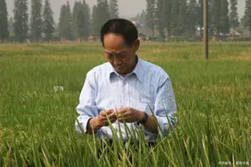 学生：“爱豆”真的错了吗？难道不是国“土”无双？图片