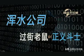 浑水公司，资本市场的清道夫还是搅屎棍？图片