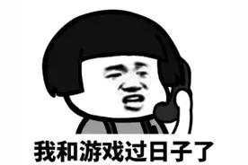 警惕虚假山寨游戏平台！我们为什么要抵制非法租借？图片