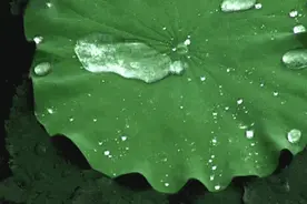 前方高能预警，汽车玻璃也能穿“雨衣”了！再也不怕下雨看不清图片