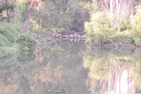 昔日臭水沟，如今变“鱼塘”，每天数十市民垂钓，鱼是从哪来的？图片