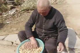 花生种是手剥好还是机器剥好？图片