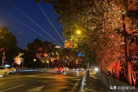 观黄鹤楼灯光秀夜景图片