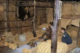 熊这种动物有多可怕图片