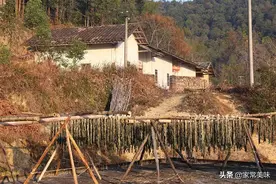 “梅干菜”是不是“雪里红”？现在终于明白，它们之间的区别很大图片