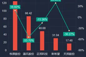 五大公司前4月养猪数据对比：牧原、正邦、新希望目标进度如何？图片