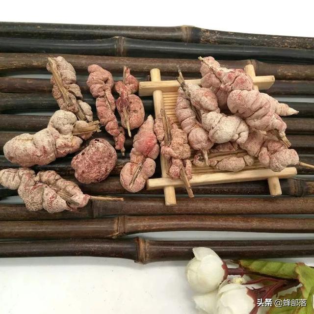 竹叶上的“宝贝”，价格88元一斤，不认识的把它当“病虫害”处理