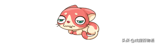 牛磺酸是什么？猫咪需要补充牛磺酸吗？