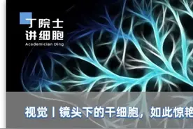 视觉丨镜头下的干细胞，如此惊艳图片