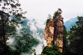 爬完尧山 去赏牡丹图片