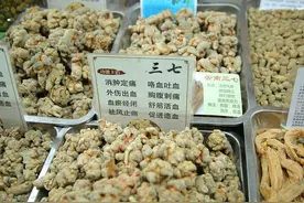 三七粉是通血管帮手，但专家提醒：这些禁忌不知道，反而伤身丢命图片