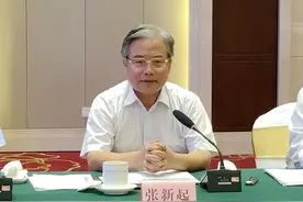 落马副部张新起，被捕图片