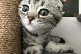 绣鞋垫、串手珠的手工兼职背后，是18万多人被骗、涉案金额高达1.31亿元的骗局……图片