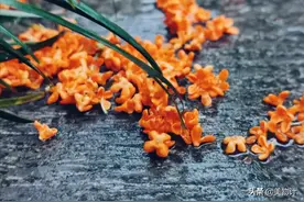 余生，愿你有恰到好处的幸福图片