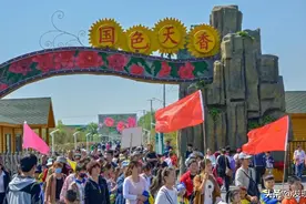 济宁市四季牡丹生态园，11号开园，就在25路终点站宫白庄！图片