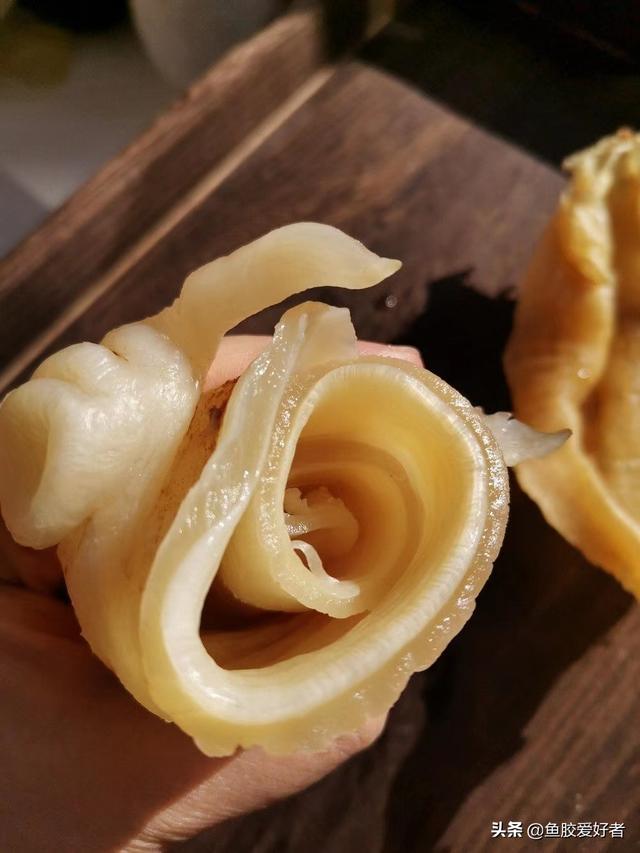 北海鱼胶的功效 苏里南北海鱼胶的功效