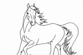 马的基础造型画法图片