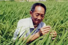 钱报·成长读本｜袁隆平爷爷给青少年朋友留下的八个字，你知道吗？图片