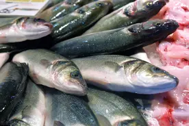 继猪肉后，鱼价也涨了，草鱼、鲈鱼、鮰鱼都在涨，为何花鲢烂市？图片