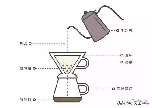 20分钟让你比99%的人更懂咖啡 （技能养成系列之一）