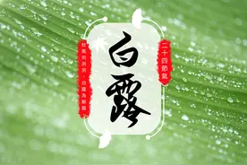 今日白露，看看老祖宗留下的谚语，网友：智慧的结晶图片