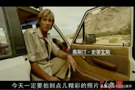 “世界蛇王”是人而不是蛇，从致命毒蛇到巨蟒，没有他不敢抓的图片