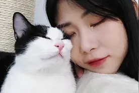 铲屎官出差突然回家，开门瞬间人和猫都哭了，场面非常感人！视频封面