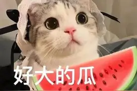 表情包：你有事吗？老阿姨图片