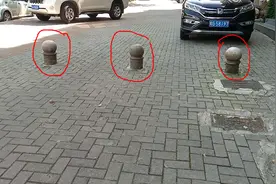 蘑菇的由来图片