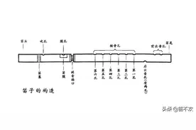 学竹笛了解这些让你少走弯路图片