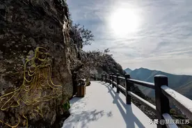 天目湖南山竹海：雪海美景宛如仙境 瑞雪疫消图片