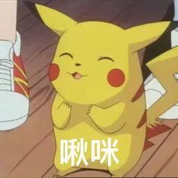 保湿也有南北之分？6款保湿面霜大横评