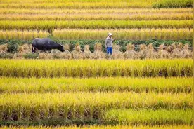 太美了！清远这个地方美成画卷，还能打卡童话风情小镇！图片