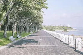 深圳这50个景点，免费玩图片