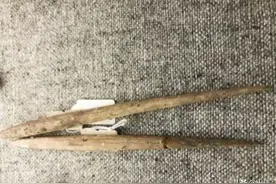 尝尽人间酸甜苦辣的筷子图片
