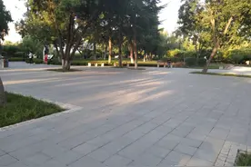 网传保定竞秀公园扔沙袋锻炼存安全隐患？管理处：加强巡逻劝阻图片
