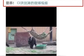 活久见！郑爽之瓜大到同行都在追，郑钧都开麦了图片