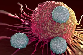 吸烟真的无害吗？英国烟草公司拿狗做实验，每天吸100支烟图片