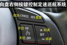 定速巡航的标志是什么样，如何使用图片