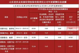 山东农担董事长年薪公布：2018年税前78.87万图片
