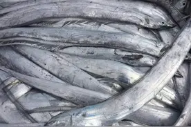 正宗舟山带鱼红烧出来，鲜香味美，吃起来棒极了图片