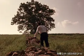 这棵老橡树被雷劈了！「肖申克的救赎」冷知识，说点你不知道的图片