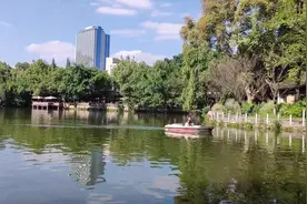 成都：宜居宜业，幸福文明 | 人民公园里看幸福生活的模样图片